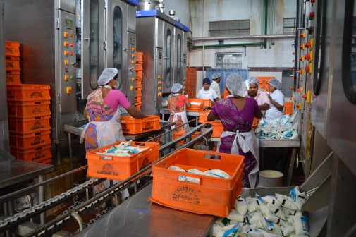 Dairy skills _ ALC India