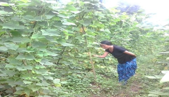 B-ABLE_Rammayarai