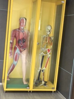 Apollo Medskills training1