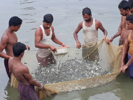 Fisheries skills blue revolution 1