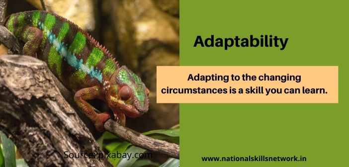 Adaptability