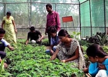 Skill development and entrepreneurship promotion in the agriculture sector