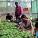 Skill development and entrepreneurship promotion in the agriculture sector