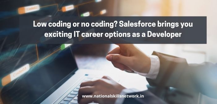 IT career options