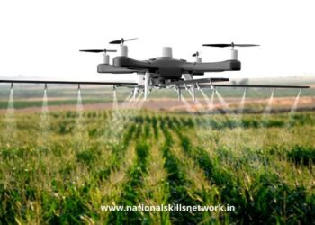 Drones in Agriculture