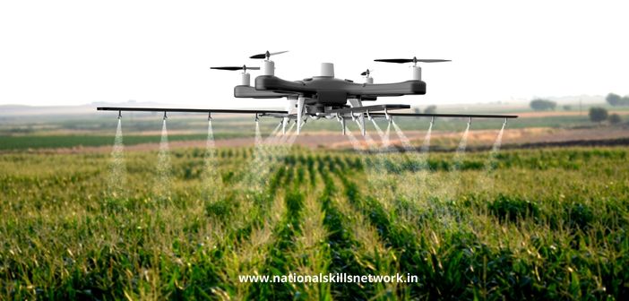 Drones in Agriculture