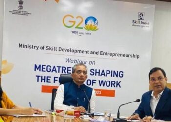 MSDE G20 webinar