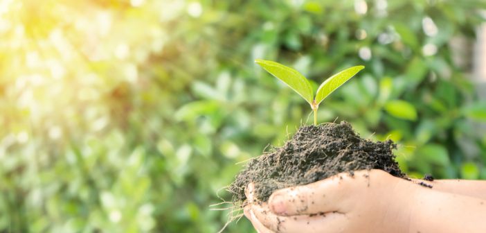 Bridging Tradition and Technology Skill Development, Entrepreneurship in the Agriculture Sector