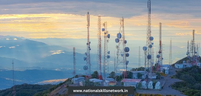 village-level entrepreneurship in the telecom sector
