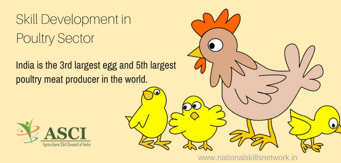 Poultry skill development India. jpg