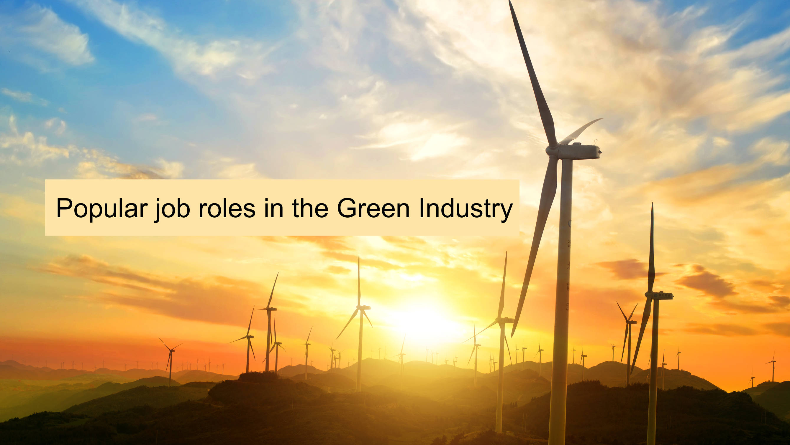 popular job roles in the green industry sectors