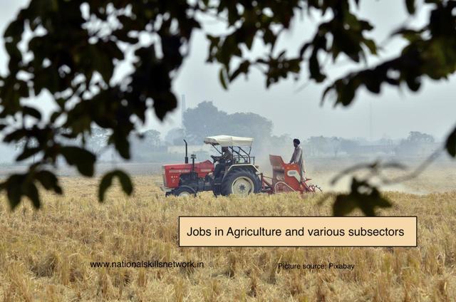 Jobs in Agriculture and various subsectors
